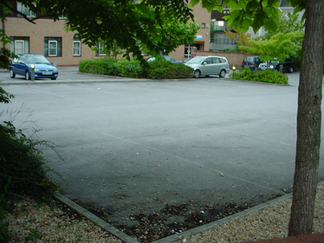 dsc01991.jpg